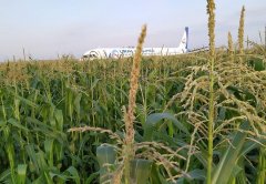 俄羅斯硬核機長把飛機硬著陸玉米地，拯救了整飛機的人！機組成員獲授國家榮