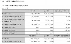 深圳機(jī)場(chǎng)上半年利潤(rùn)凈利潤(rùn)3.08億元，同比減少16.7%-阿聯(lián)酋的國(guó)際快遞