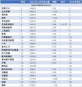 CADAS：2019上半年全球50大機場吞吐量排名-土耳其的國際快遞