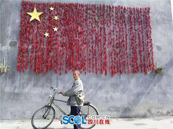 接地氣！成都這個村竟用辣椒“繡”出了五星紅旗