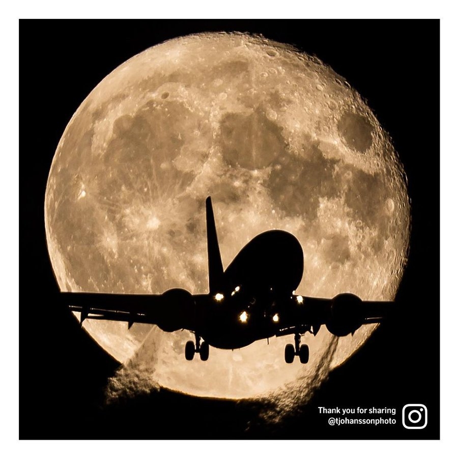北歐航空萬圣節(jié)概念機