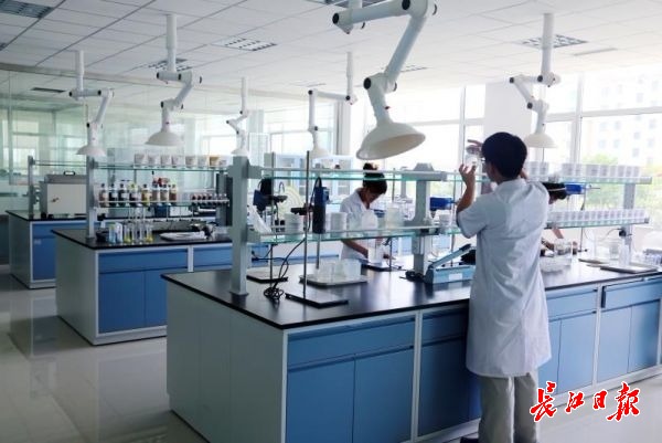 青島西海岸的這幾張名片，能為武漢發(fā)展帶來(lái)哪些啟示？