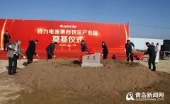 哈薩克斯坦的國際快遞-投資27.5億占地500畝 格力要在萊西建物流產(chǎn)業(yè)園