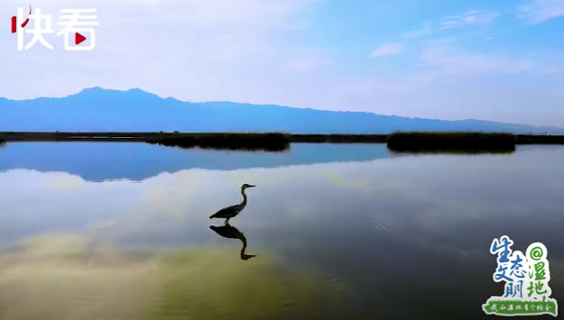 “塞上江南” 明珠璀璨——我和寧夏有個(gè)約會(huì)