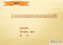 廣東貨運(yùn)公司-研究生論文開題報告PPT的寫作要點(附范文)
