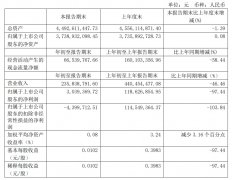 東南亞國際國際快遞-廈門空港一季度凈利303.94萬 同比下降97%（附圖）