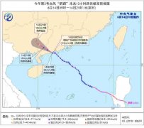 臺(tái)風(fēng)“鸚鵡”登陸，多個(gè)航線停航
-上海貨運(yùn)貨代公司