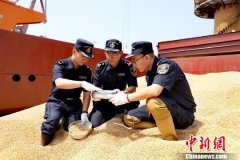 美盤豆類商品已經(jīng)不再平靜
-土耳其空運(yùn)
