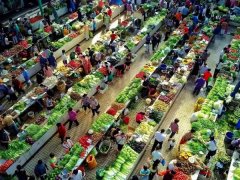 而是生產(chǎn)、加工、倉儲、運輸、銷售等各個環(huán)節(jié)都標準化、綠色化、智慧化
-海