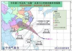 臺風(fēng)藍(lán)色預(yù)警:“白鹿”24日或正面登陸福建！-運費報價