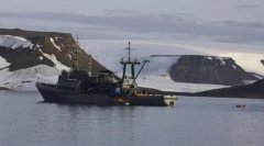 海象護(hù)崽“撞沉”俄海軍船只-上?？者\(yùn)